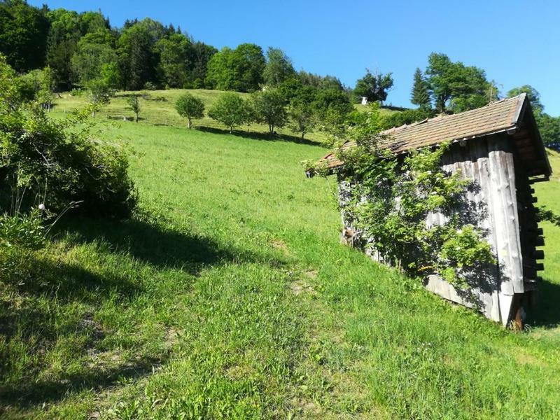 Biobergbauernhof Bergzeit Apartment In Goldegg Εξωτερικό φωτογραφία